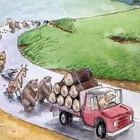 Slovensko 2025