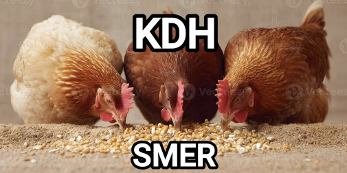 Fico vykosťuje KDH